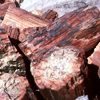 Petrified Forest <br>National Park