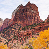Zion <br>National Park