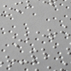 Braille<br> Louis Braille