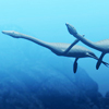 Plesiosauria