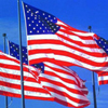 Flag (United States)