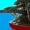 Voyageurs <br>National Park