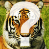  What is...mammal?