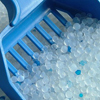 Kitty Litter <br>Edward Lowe