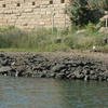 Nile River <br>in Ancient Egypt