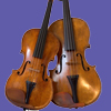Viola