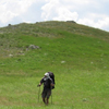 Hill