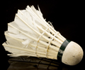 Badminton