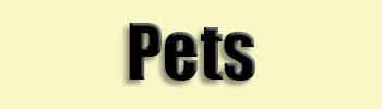 topic name text image