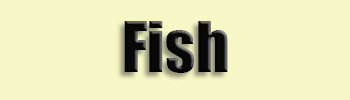 topic name text image