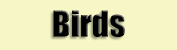 topic name text image