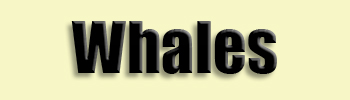 topic name text image