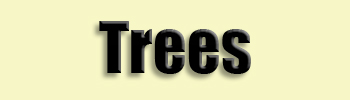 topic name text image