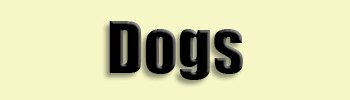 topic name text image