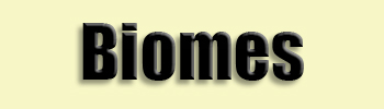 topic name text image