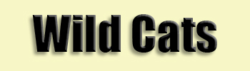 topic name text image