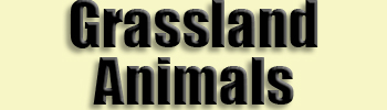 topic name text image