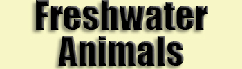 topic name text image