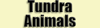 topic name text image